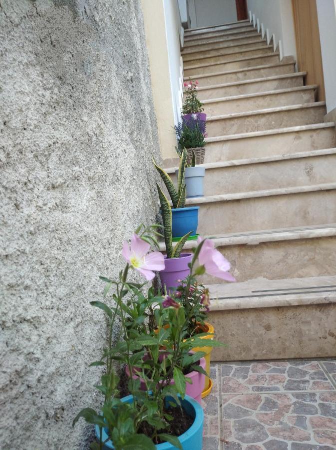Villa Vasili Skiathos Town Ngoại thất bức ảnh